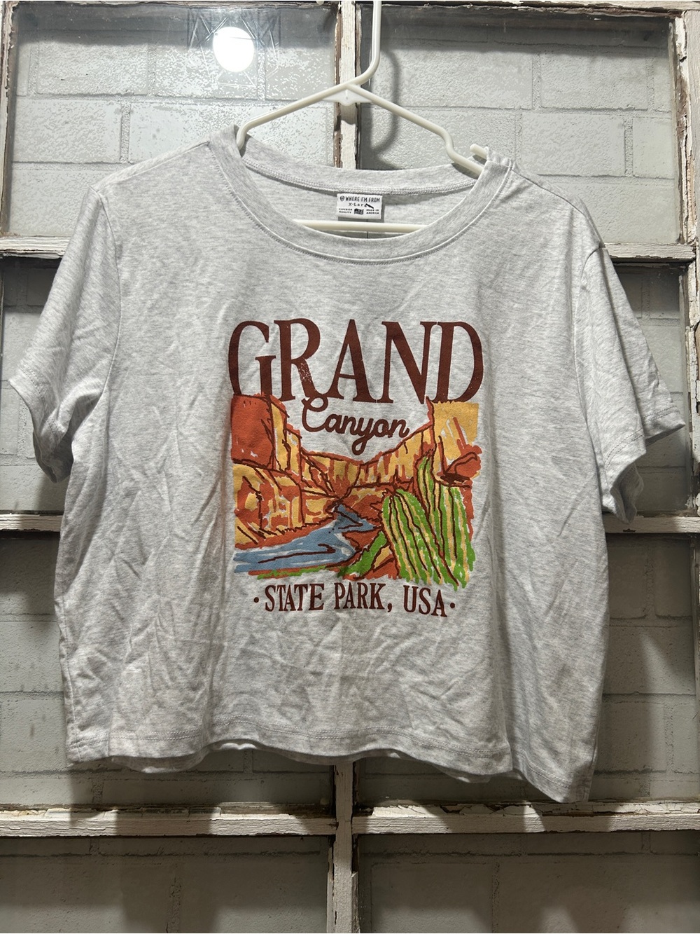 🏜️ Where I’m From Grand Canyon State Park Crop Tee | Boxy Graphic T-Shirt - XL